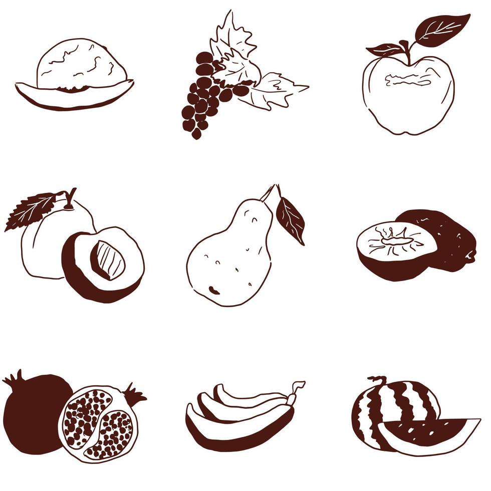 doodles pequena seleção de frutas em fundo branco vetor