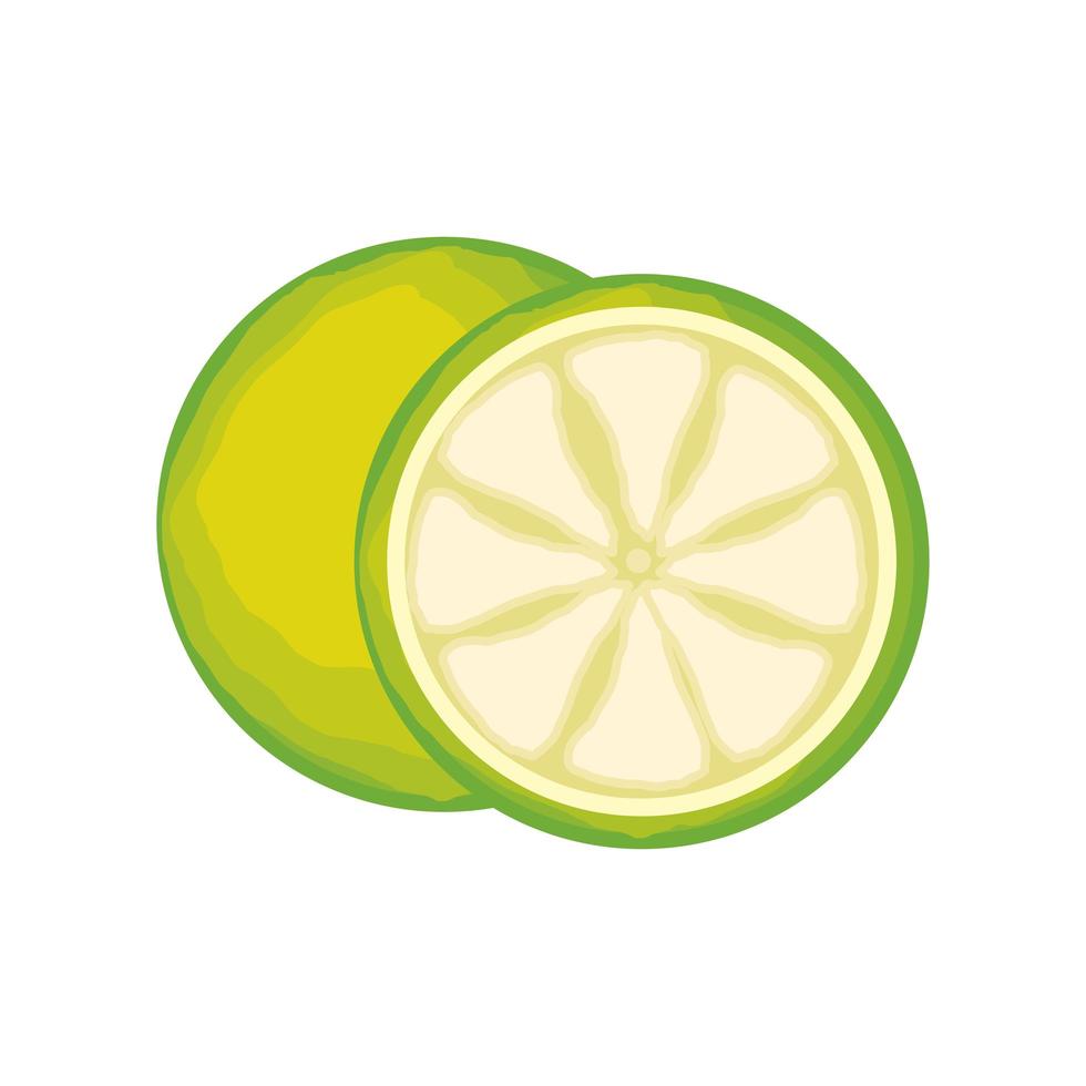 vazamentos de limão cítrico vetor