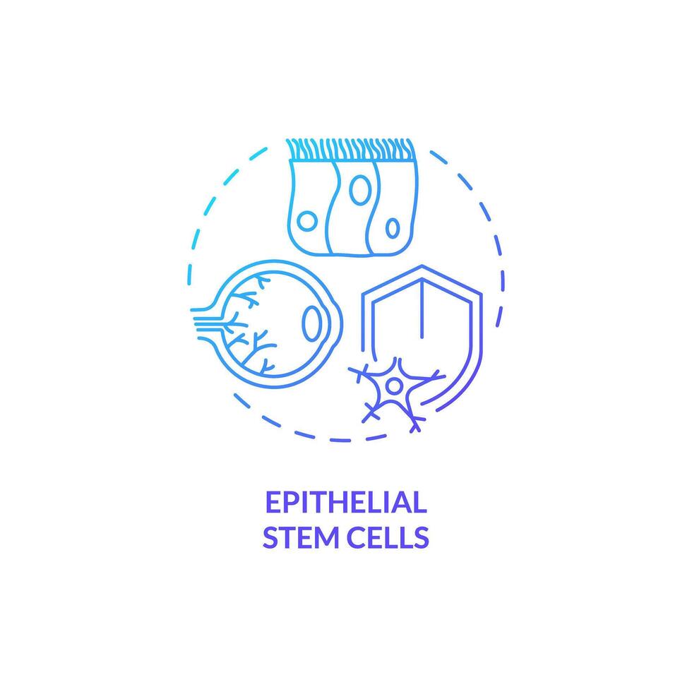 2d gradiente epitelial haste células ícone, simples isolado vetor, fino linha azul ilustração representando célula terapia. vetor