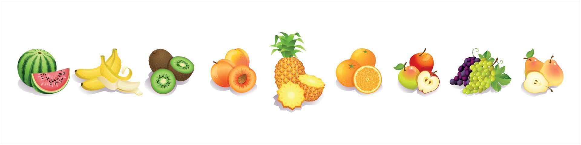 conjunto de frutas realista vetor