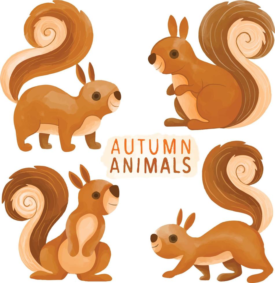 conjunto de esquilo pintado em aquarela, animal de outono, clipart de animais selvagens. mão desenhada isolada no fundo branco vetor