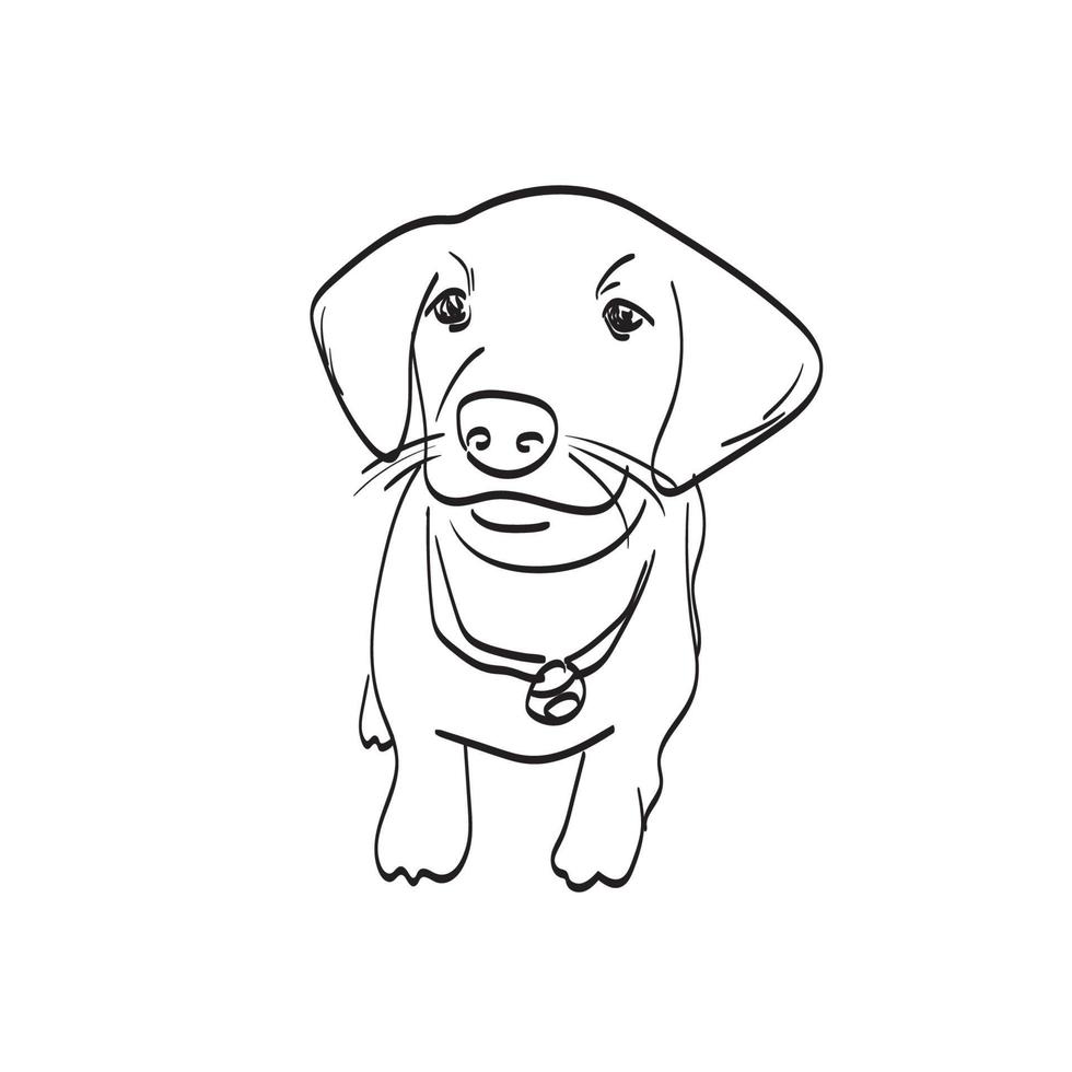 sorrindo filhote de cachorro ilustração vetorial isolado na arte de linha de fundo branco. vetor