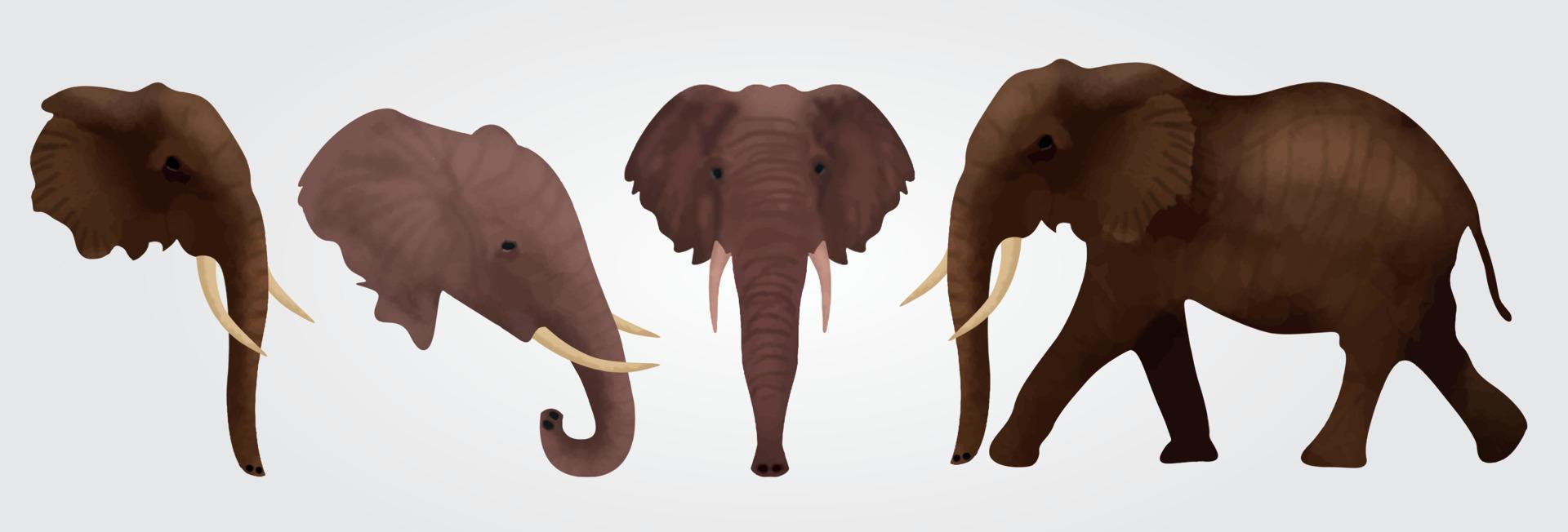 ilustração em vetor silhueta elefante isolada no fundo branco