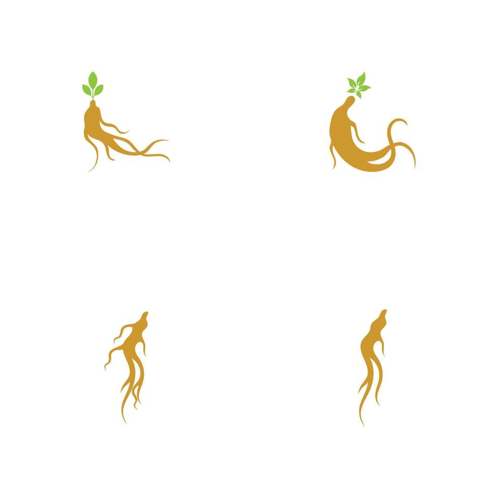conjunto de modelo de design de ilustração de logotipo de ginseng vetor