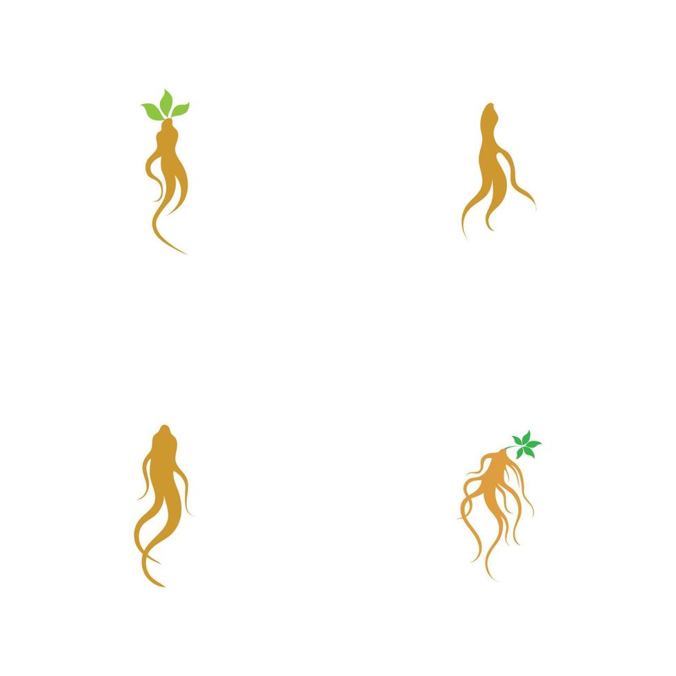 conjunto de modelo de design de ilustração de logotipo de ginseng vetor