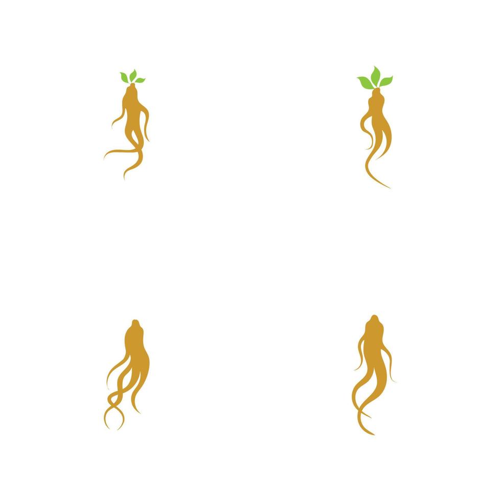 conjunto de modelo de design de ilustração de logotipo de ginseng vetor