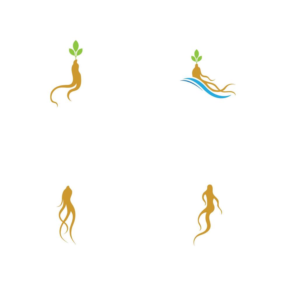 conjunto de modelo de design de ilustração de logotipo de ginseng vetor