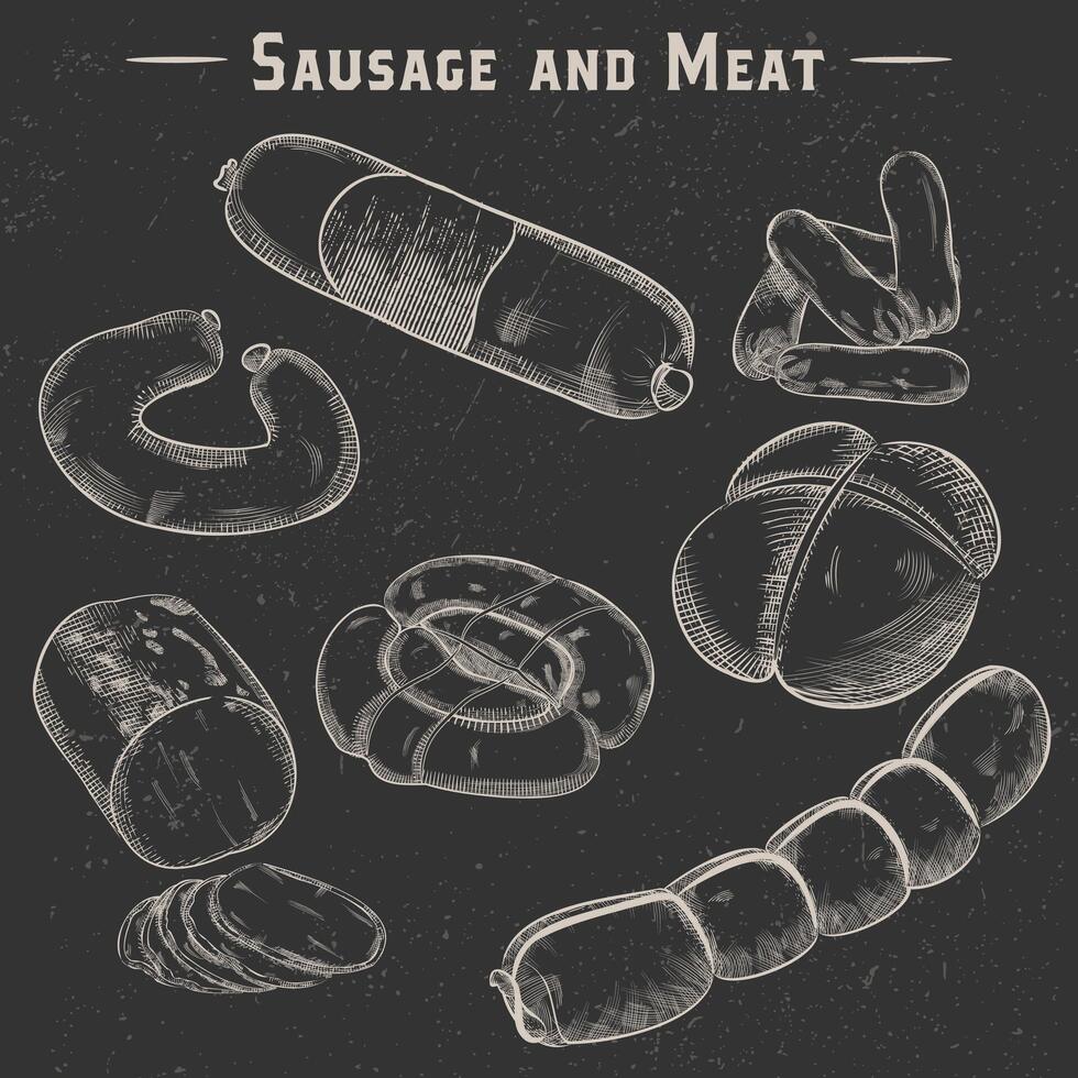 carne esboço ícone conjunto vetor ilustração. mão desenhado salsichas e salsichas dentro branco linhas carne coleção em Preto.