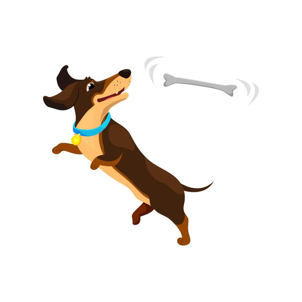 desenho animado dachshund cachorro cachorro personagem pega osso vetor