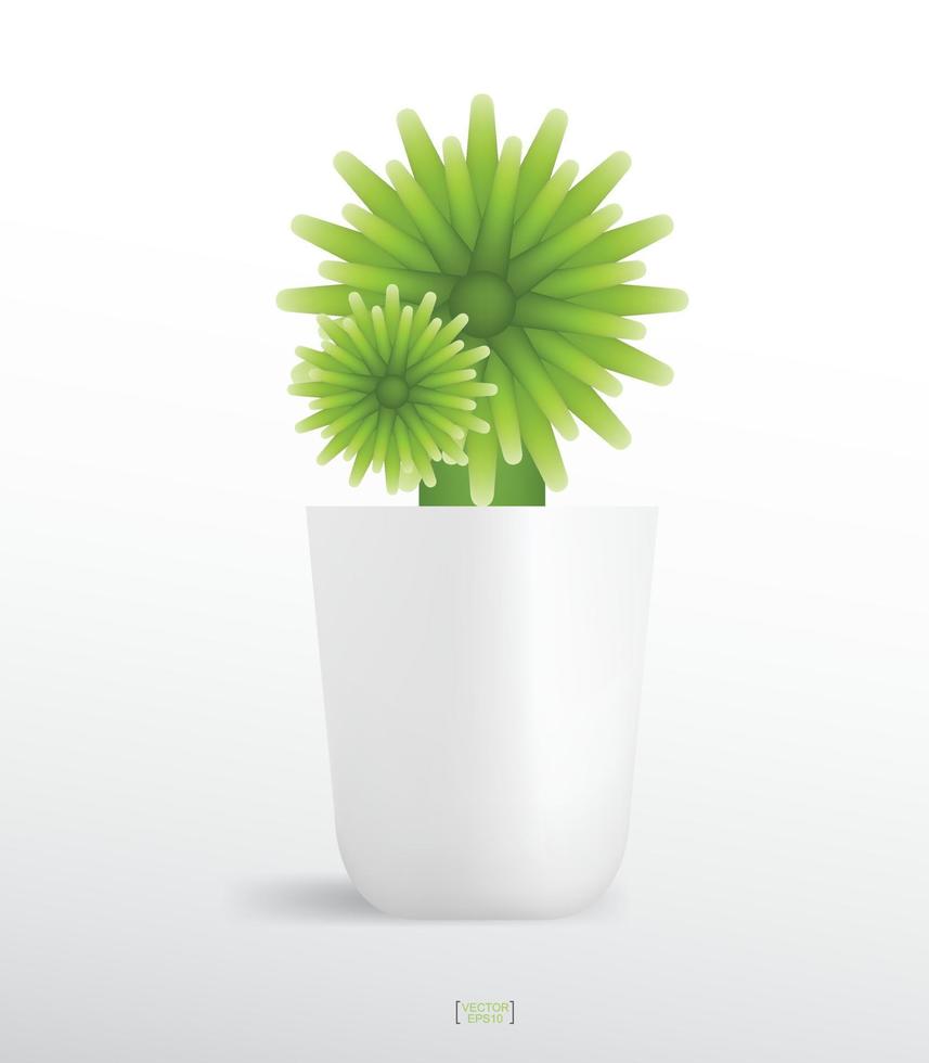plantas de decoração em vaso de flores. pequena árvore. ideia de objeto natural para design e decoração de interiores. vetor. vetor