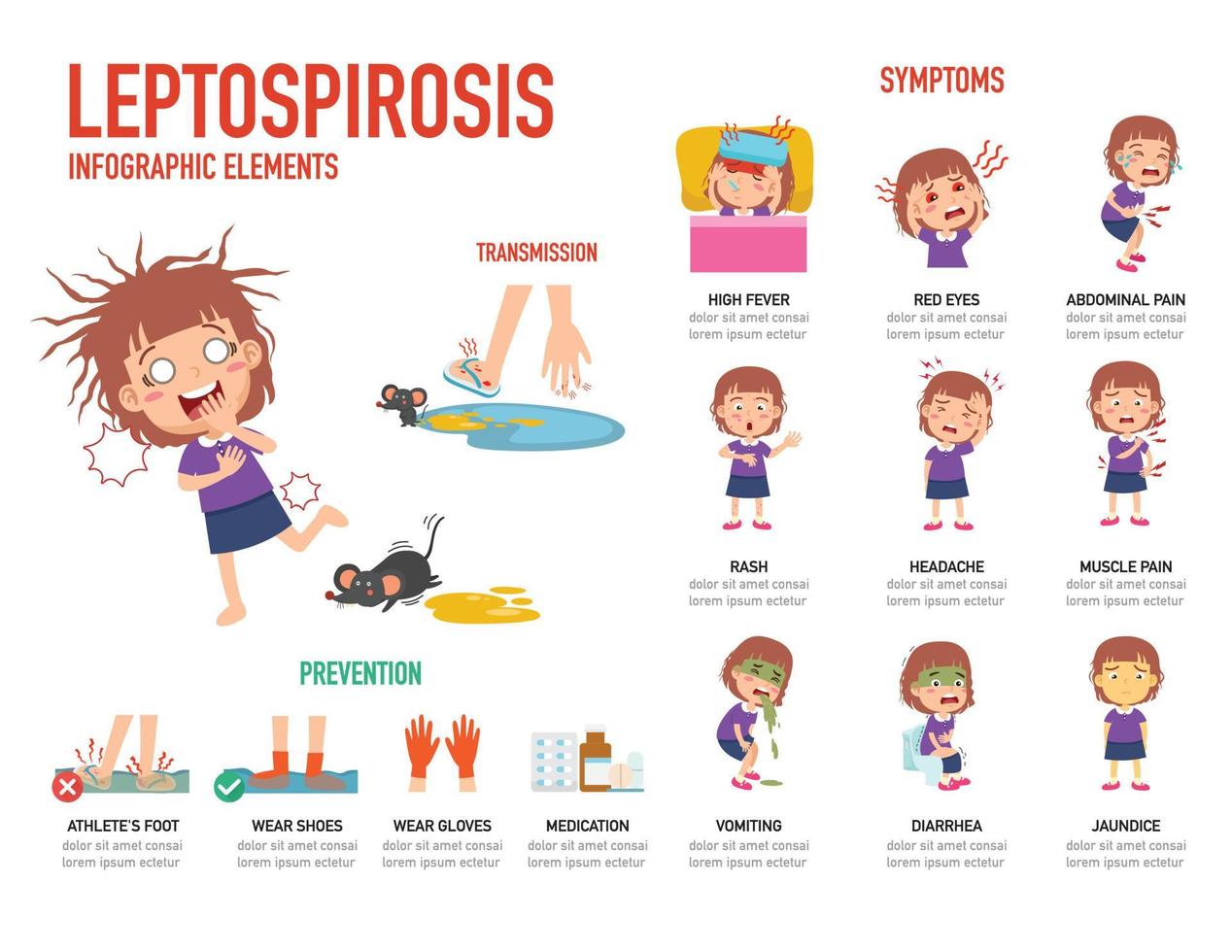 Ilustração em vetor infográfico de prevenção e sintomas de leptospirose