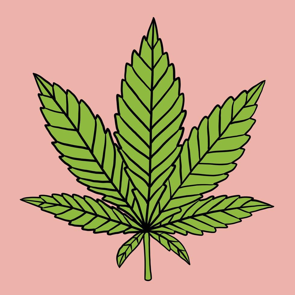 simplicidade folha de cannabis desenho à mão livre design plano. vetor