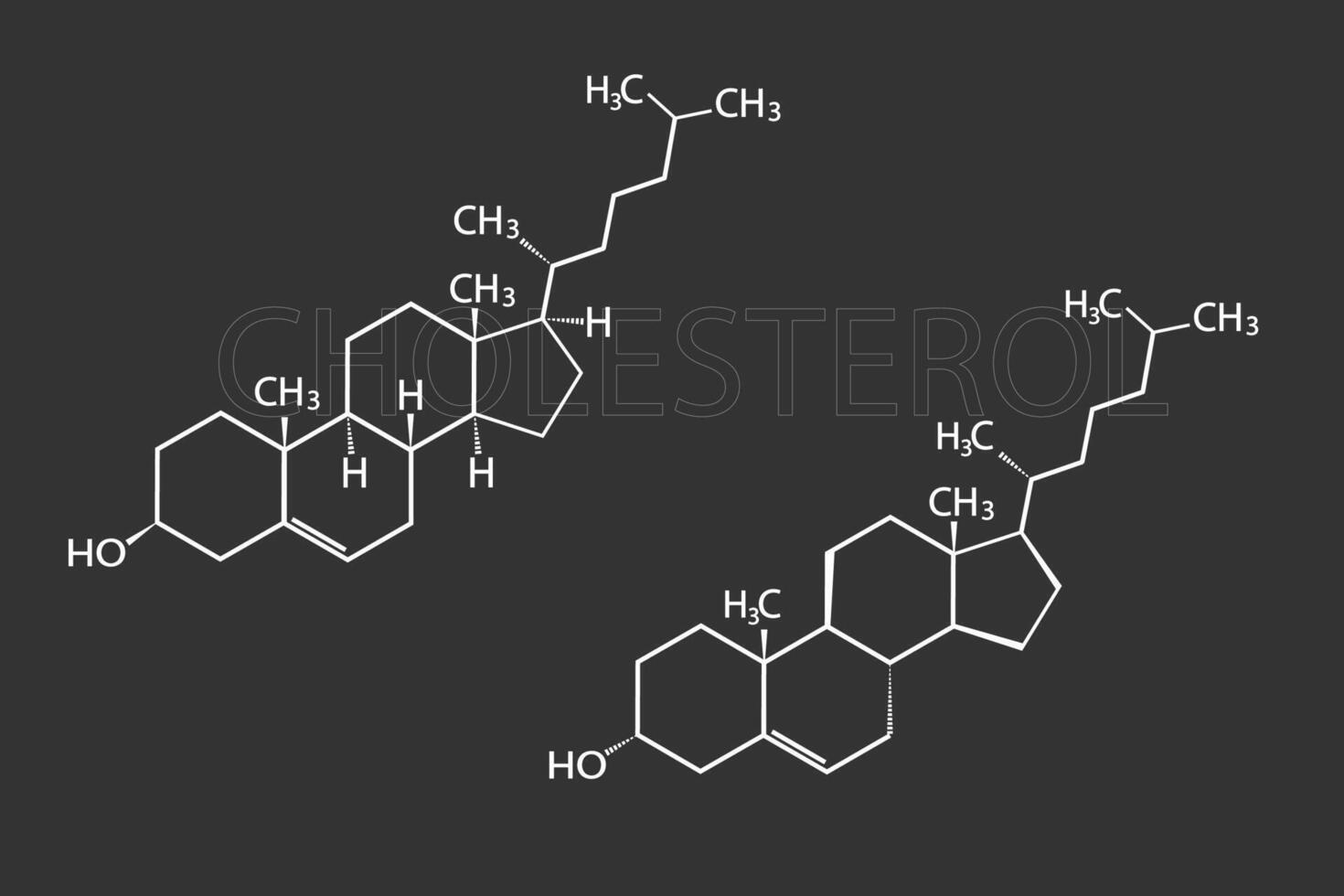 colesterol molecular esquelético químico Fórmula vetor