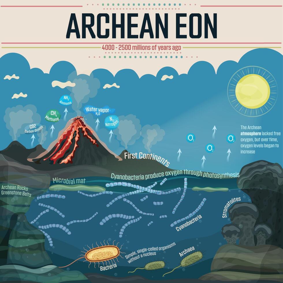 arqueano era simples, unicelular organismos, bactérias, e archaea primeiro apareceu. vetor