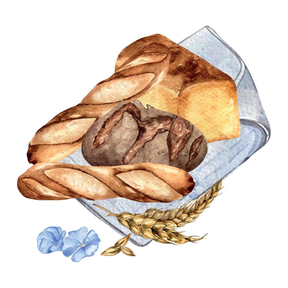 aguarela composição do centeio pão em guardanapo isolado em branco fundo. mão desenhado ilustração variedade do pão para padaria. pintado baguete. elemento para Projeto Padaria, sinalização, mercearia loja vetor