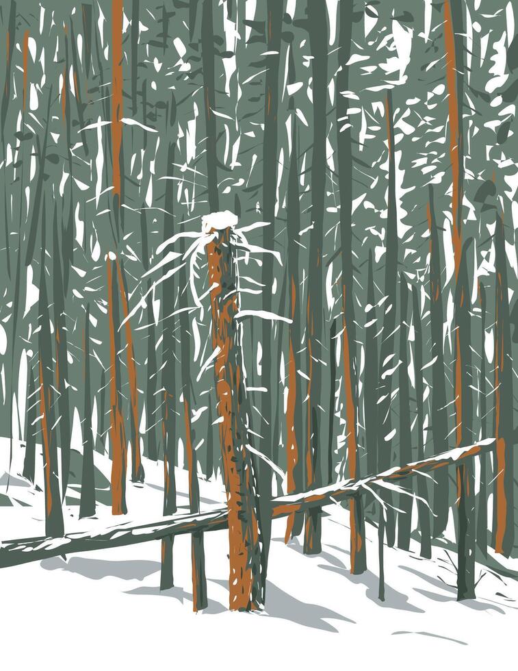 inverno floresta do subalpino abeto e flexível pinho dentro eco lago Colorado wpa poster arte vetor