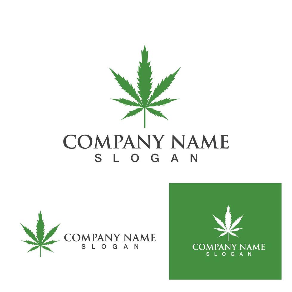 logotipo da folha de cannabis e modelo de vetor de símbolo