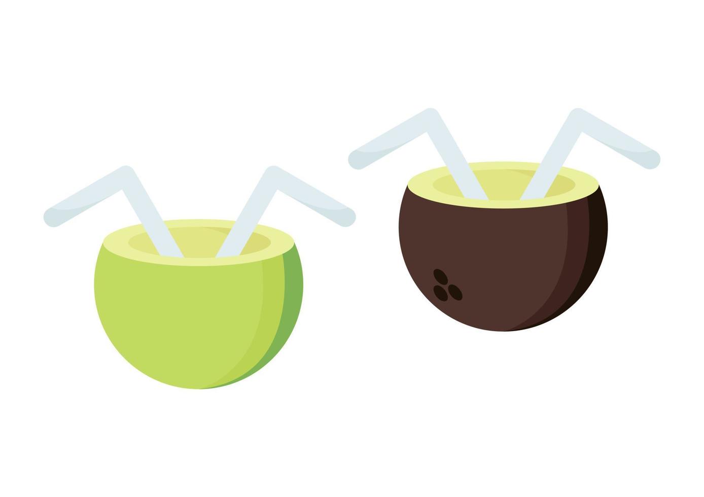 ilustração de gelo de coco jovem com dois tipos de coco vetor
