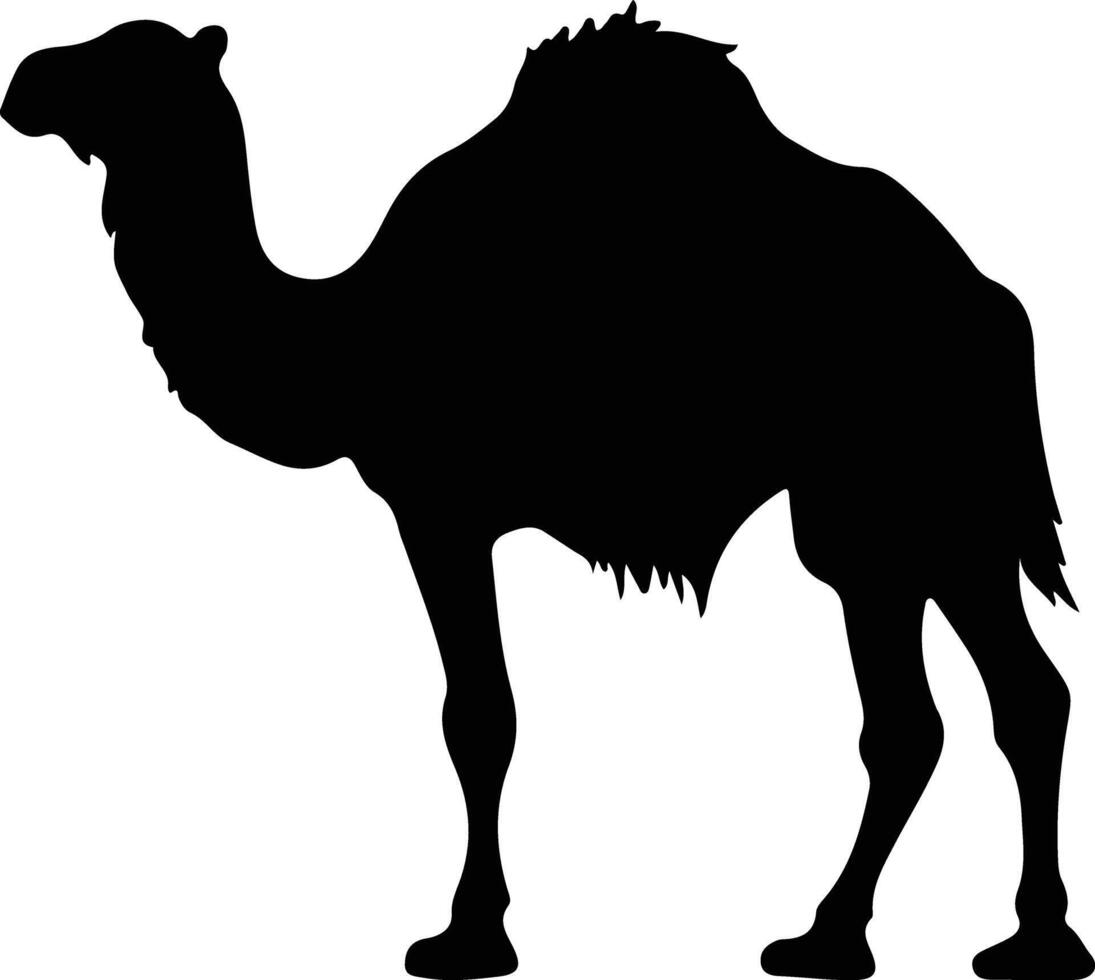 camelo bactriano Preto silhueta vetor