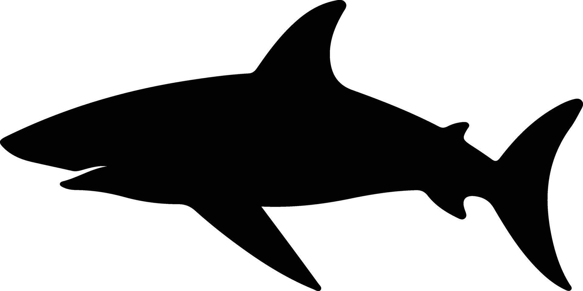 galápagos Tubarão Preto silhueta vetor
