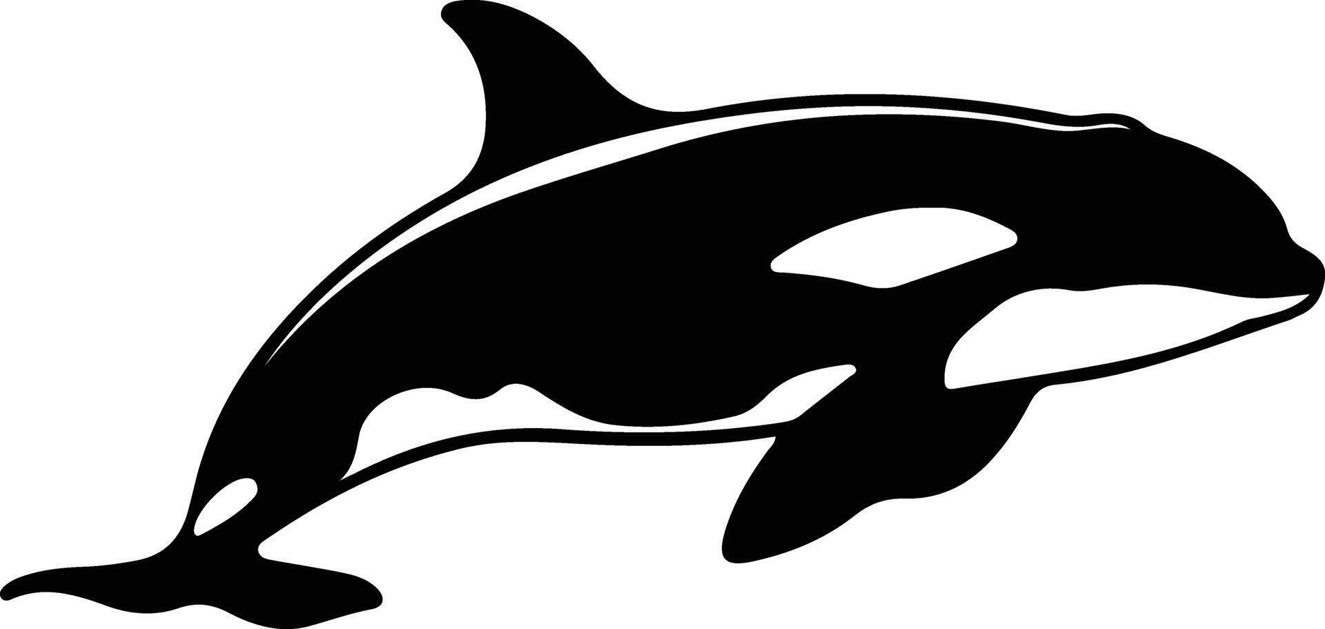 orca Preto silhueta vetor