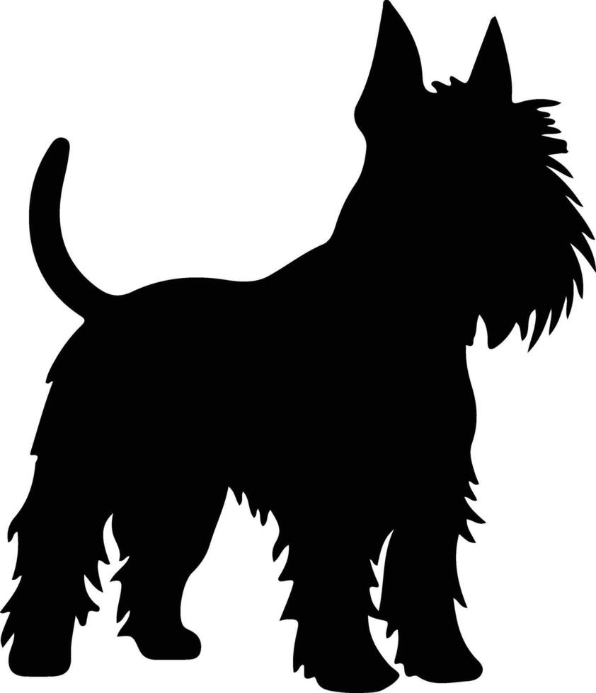 escocês terrier Preto silhueta vetor