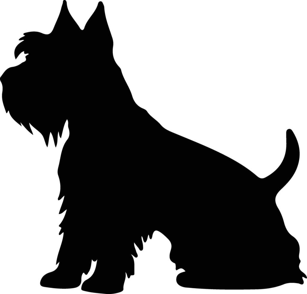 escocês terrier Preto silhueta vetor