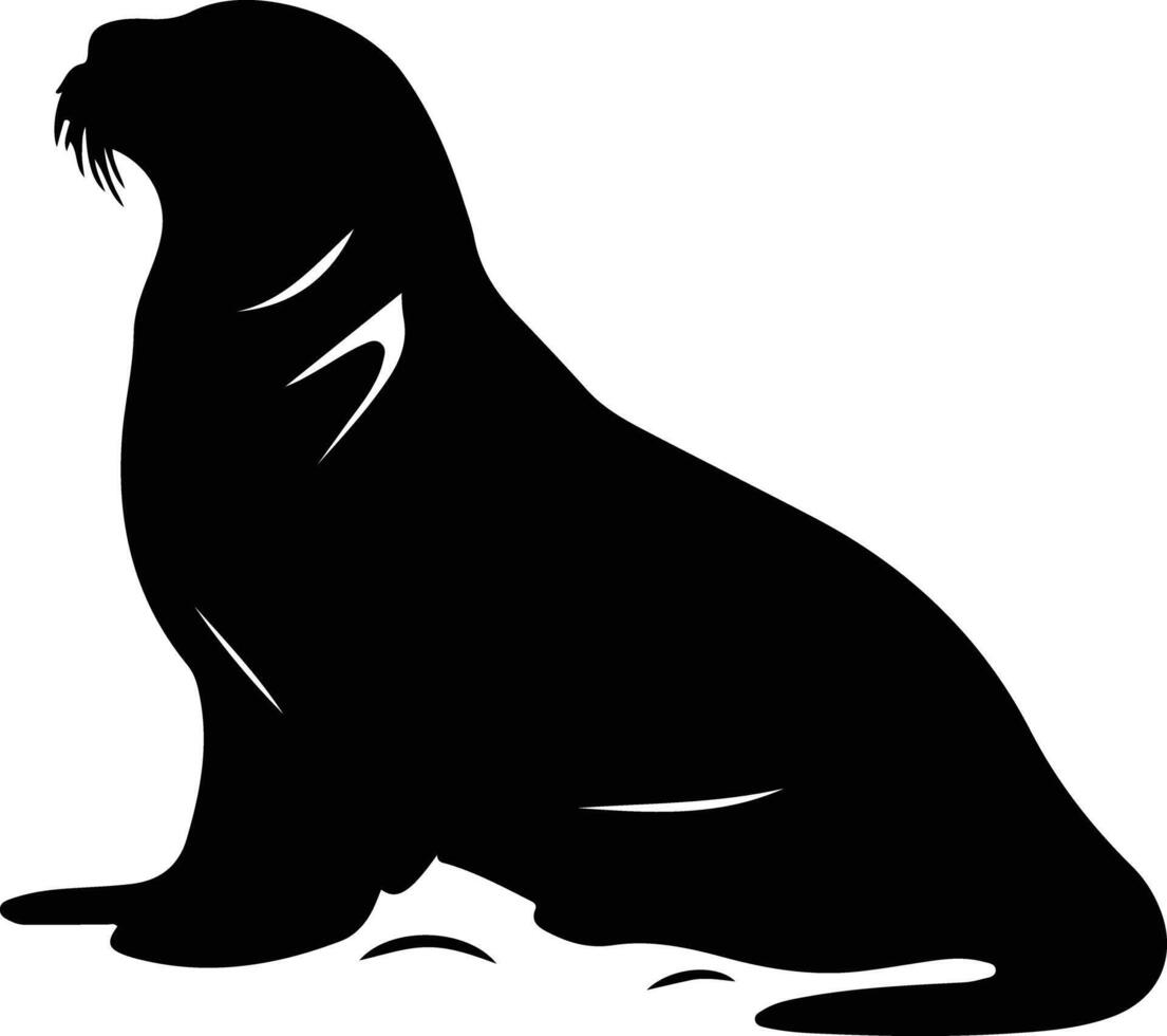 foca Preto silhueta vetor