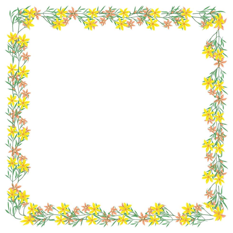 vetor mão desenhado floral quadro, Armação em branco fundo