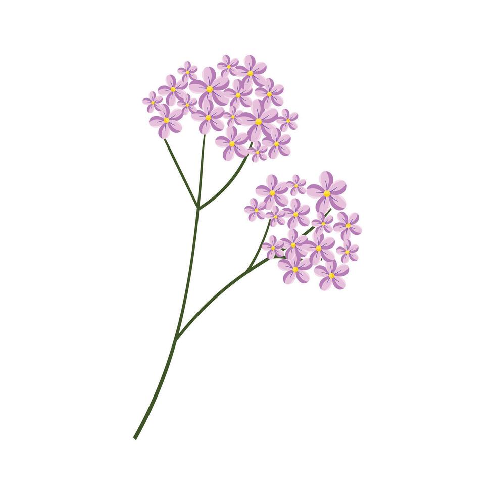 vetor roxa hortênsia flor ilustração em branco