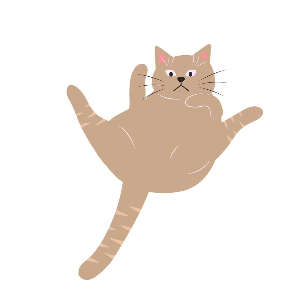 fofa engraçado gato. gordo animal animal. desenho animado personagem. plano vetor ilustração.