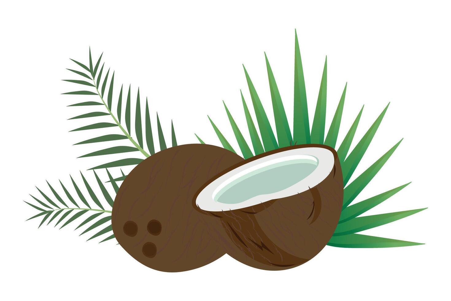 coco com Palma folhas em uma branco fundo. coco ilustração. todo e metade coco com verde Palma folhas. orgânico, natural tropical produtos. vetor ilustração em uma branco fundo.