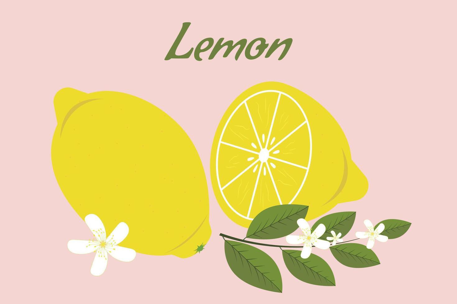 fresco orgânico amarelo limão com uma fatiar, e uma florescendo limão galho com verde folhas e flores isolado em uma delicado Rosa fundo. vetor. vetor