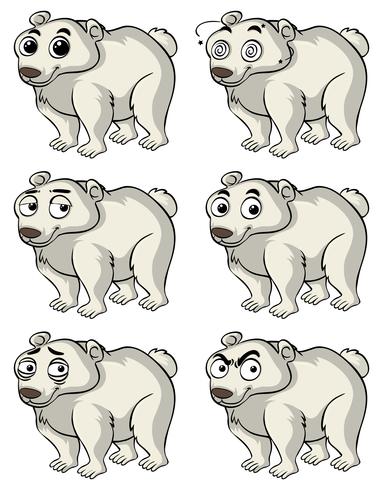 Urso polar com diferentes expressões faciais vetor