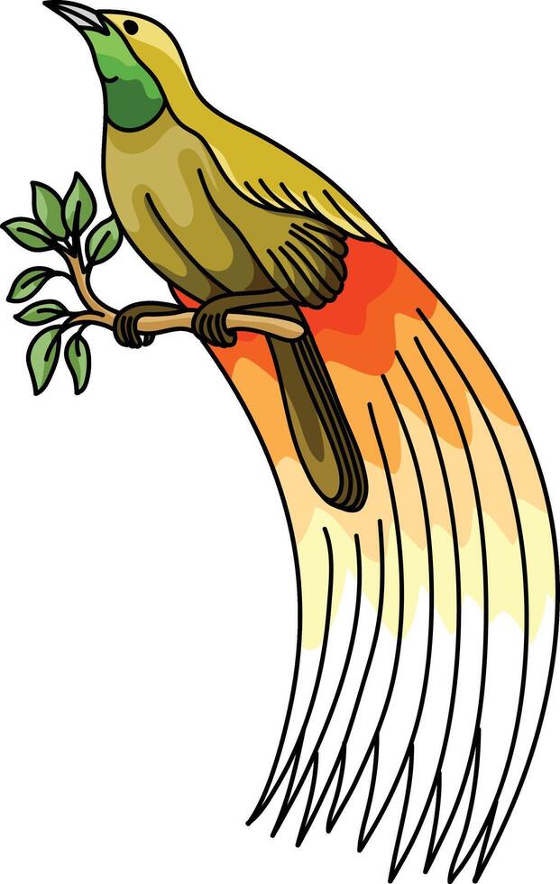 uma pássaro do paraíso é empoleirado em uma ramo vetor