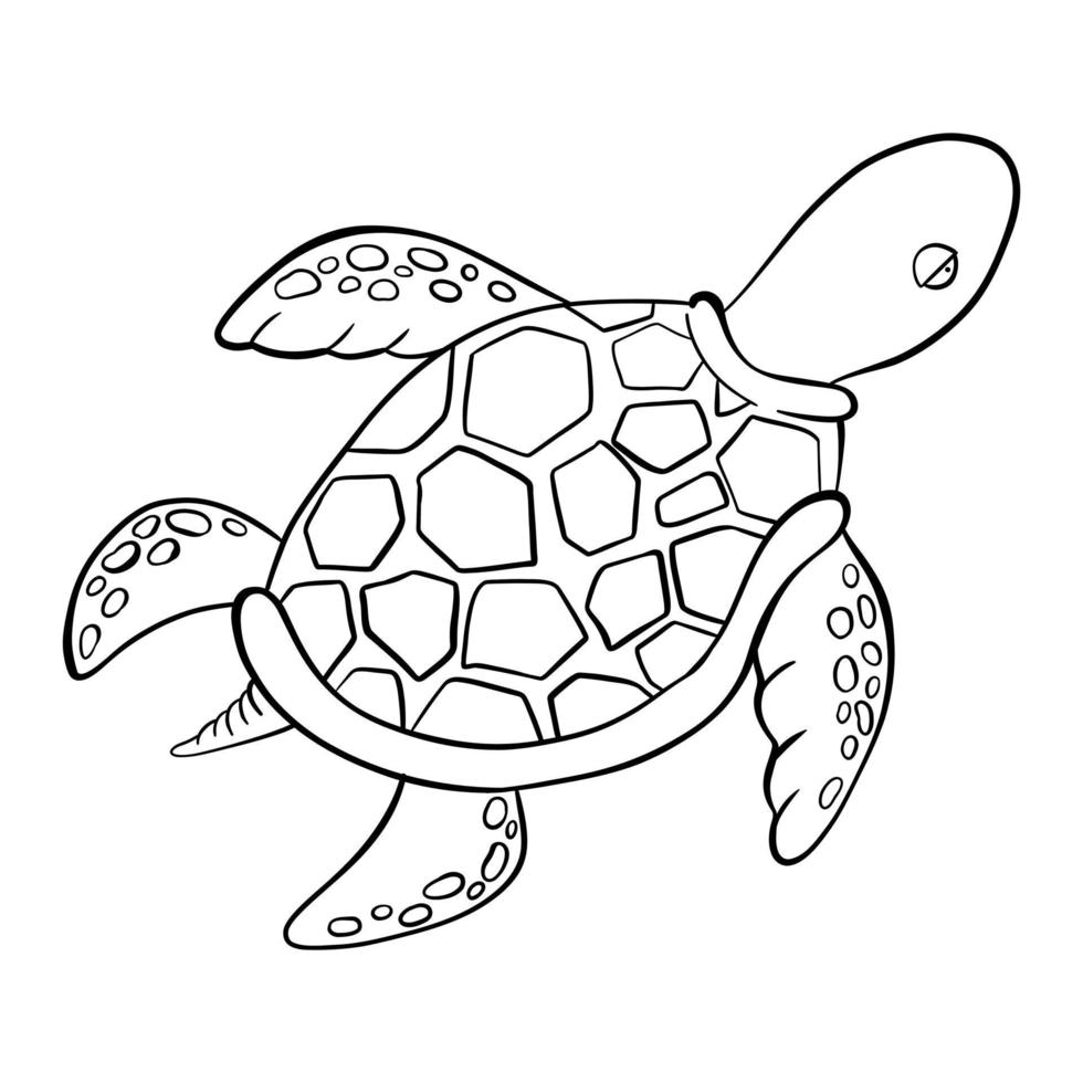 vector contorno preto cartoon doodle tartarugas marinhas. ilustração animal subaquática gráfica isolada no fundo branco para livro de colorir. ilustração vetorial