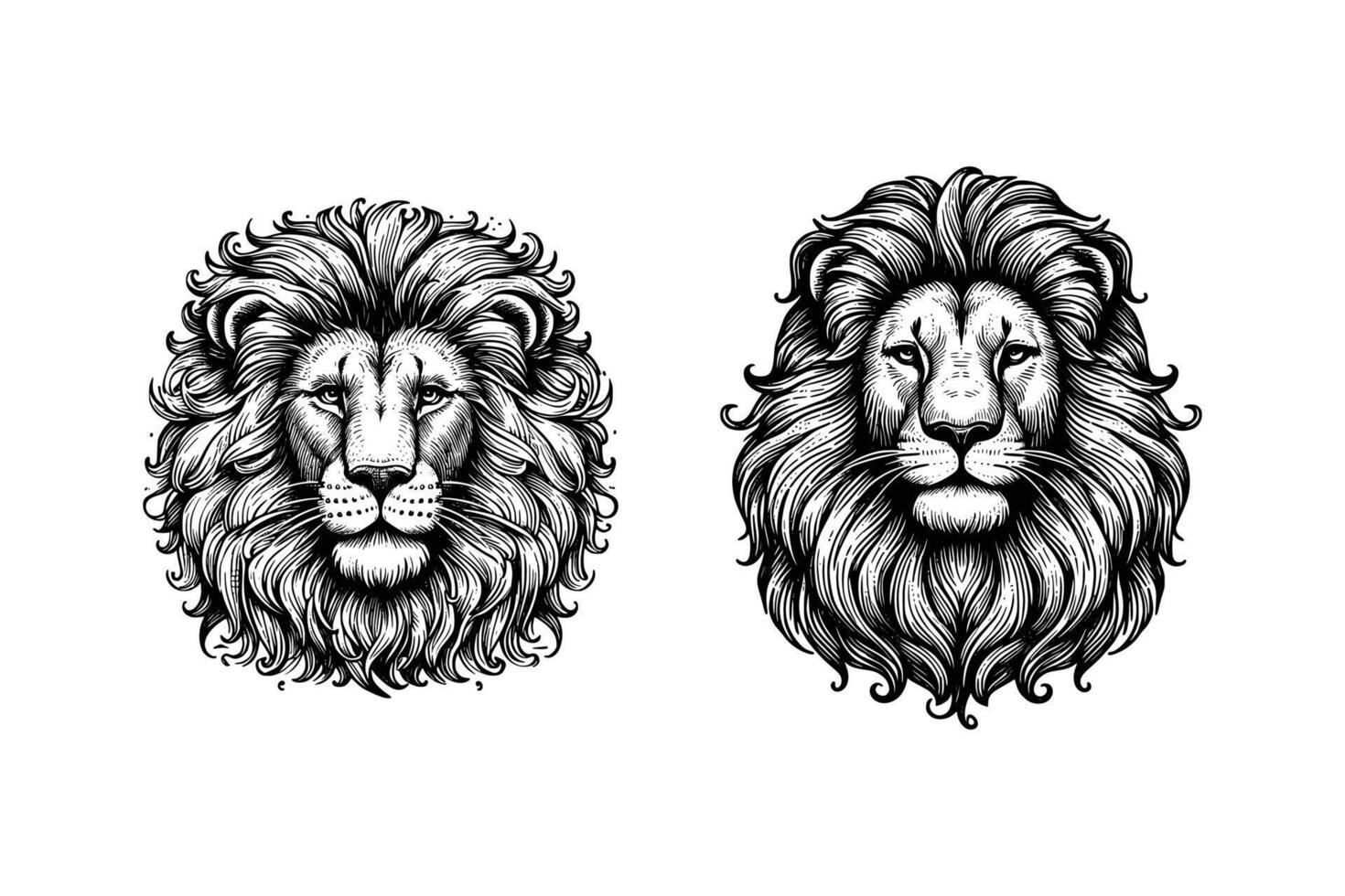 conjunto do leões cabeça ilustração. mão desenhado leão Preto e branco vetor ilustração. isolado branco fundo