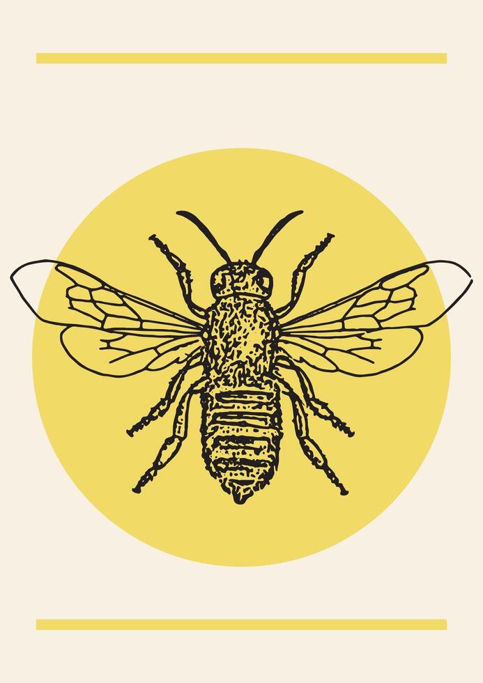 querida abelha tinta desenhando vintage vetor ilustração poster. mão desenhado isolado inseto esboço.