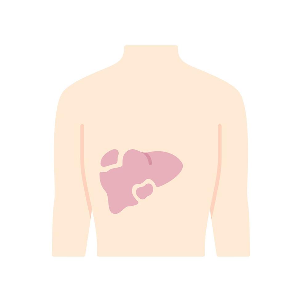 Ícone de cor longa sombra de design plano de fígado doente. hepatite, cirrose. ferido órgão humano. glândula digestiva insalubre. parte interna do corpo doente. trato gastrointestinal. ilustração da silhueta do vetor