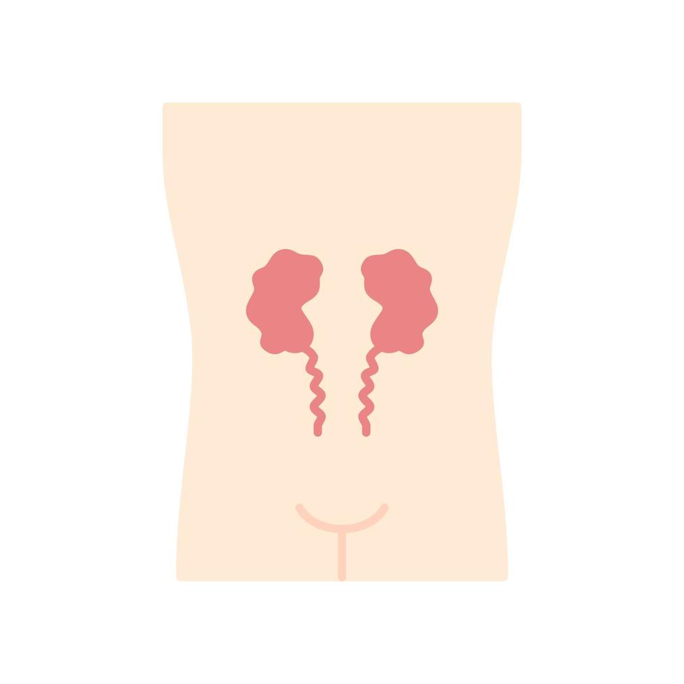 Doente rins design plano ícone de cor longa sombra. minério órgão humano. sistema urinário insalubre. nefropatia. parte interna do corpo doente. falência renal. ilustração da silhueta do vetor