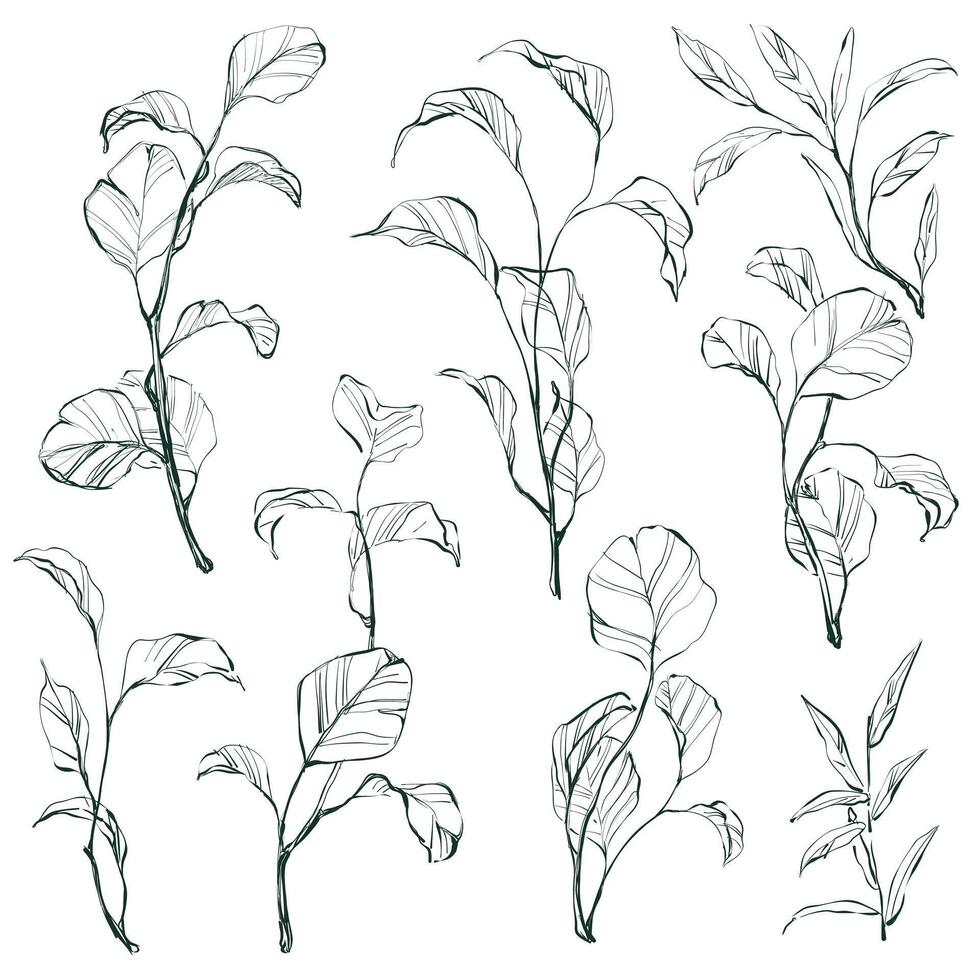 conjunto do desenhado à mão plantas e folhas. realista detalhado esboço vetor botânico ilustrações