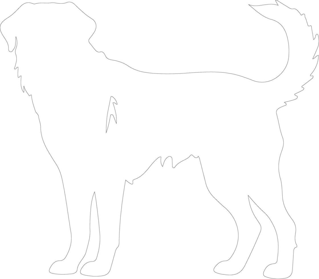 anatólio pastor cachorro esboço silhueta vetor