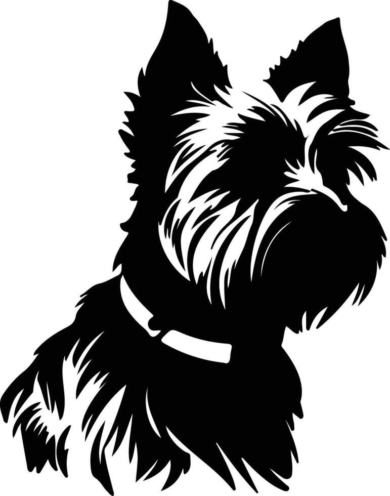 australiano terrier Preto silhueta vetor