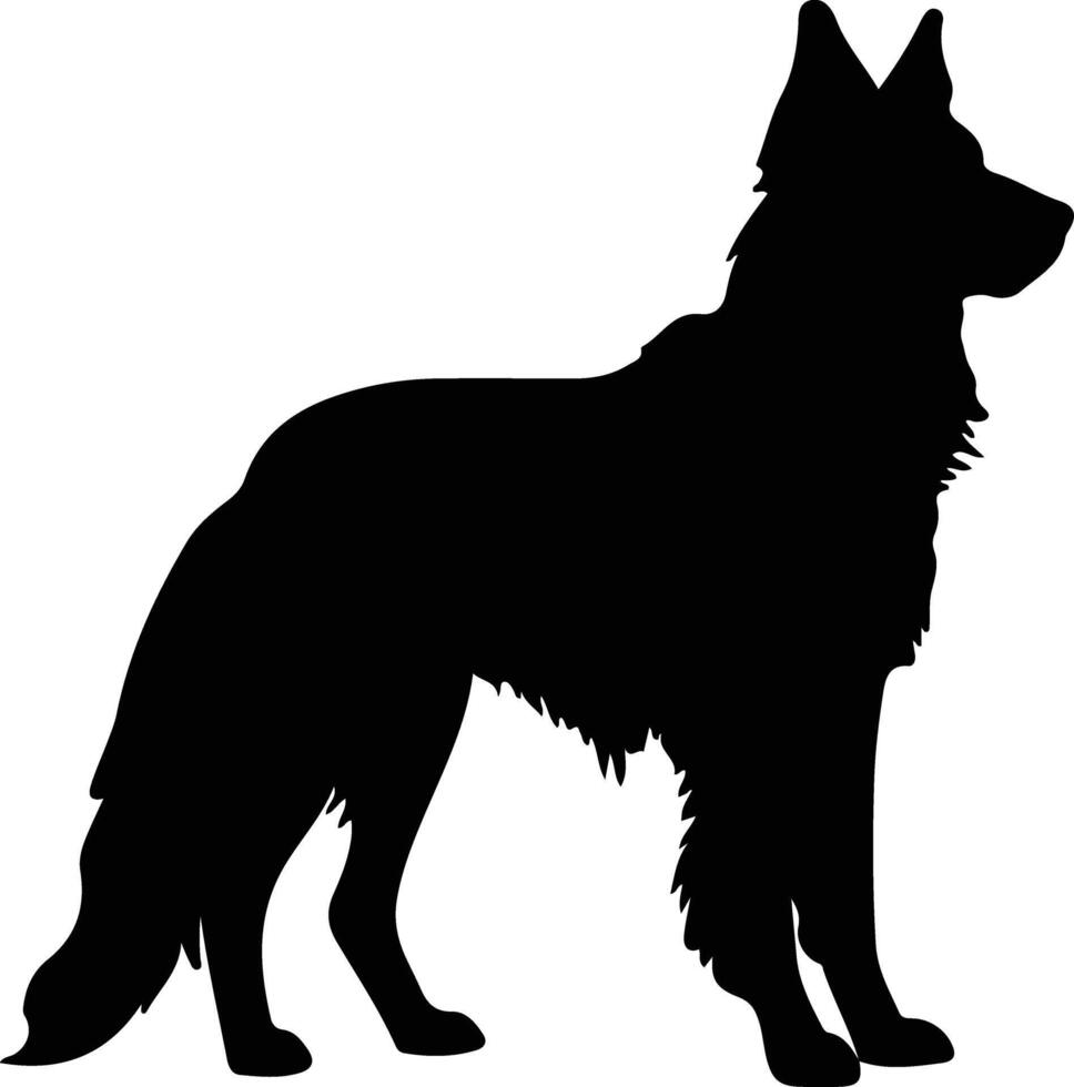 Belga cão de guarda Preto silhueta vetor