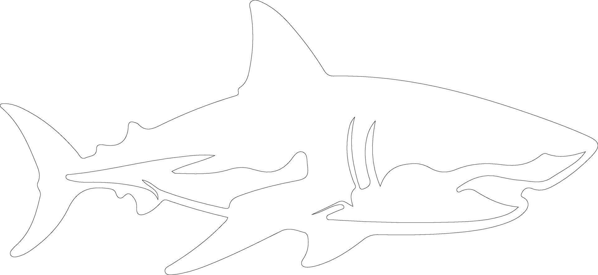 ótimo branco Tubarão esboço silhueta vetor
