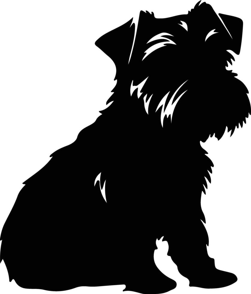 Norfolk terrier Preto silhueta vetor