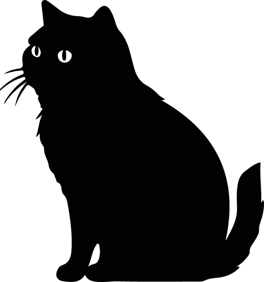 exótico cabelo curto gato silhueta retrato vetor