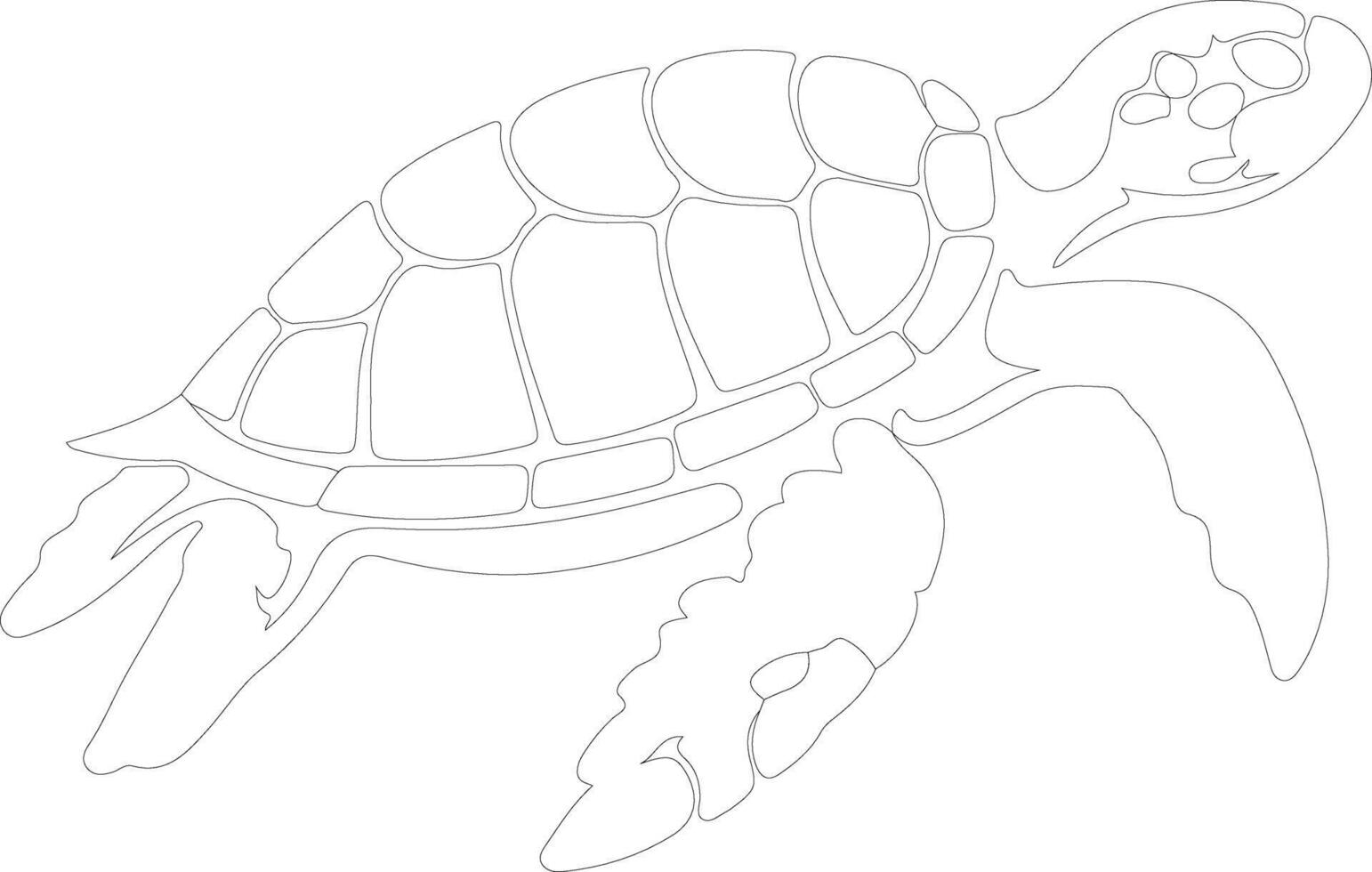 cabeçuda tartaruga esboço silhueta vetor