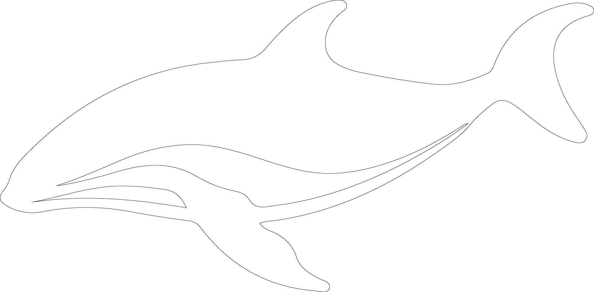 baleia esboço silhueta vetor