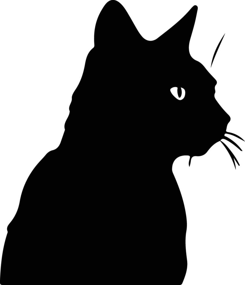 seichelense gato silhueta retrato vetor